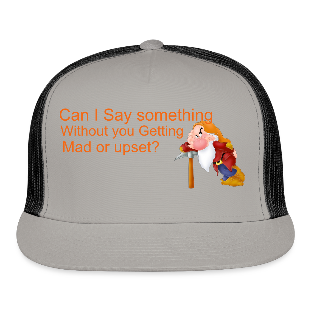 Trucker Hat - gray/black
